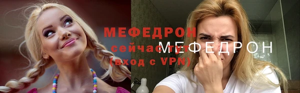 стаф Зерноград