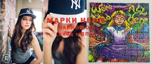 стаф Зерноград
