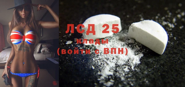 стаф Зерноград