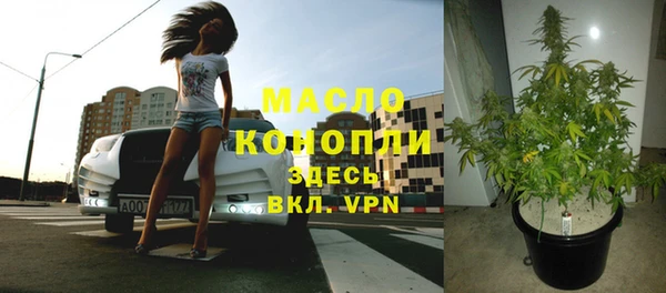 стаф Зерноград